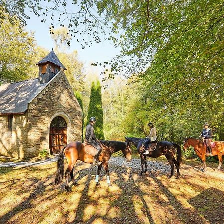Maisonbel, Gite Convivial Bretagne Vannes Sarzeau 15 Personnes Surzur Eksteriør billede